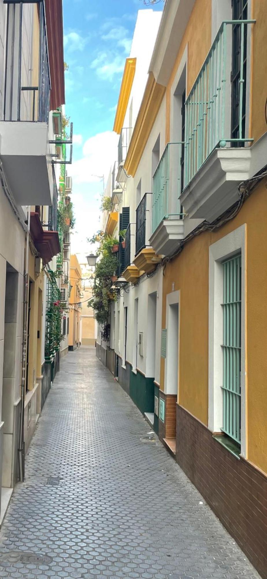 Arco Macarena Daire Sevilla Dış mekan fotoğraf
